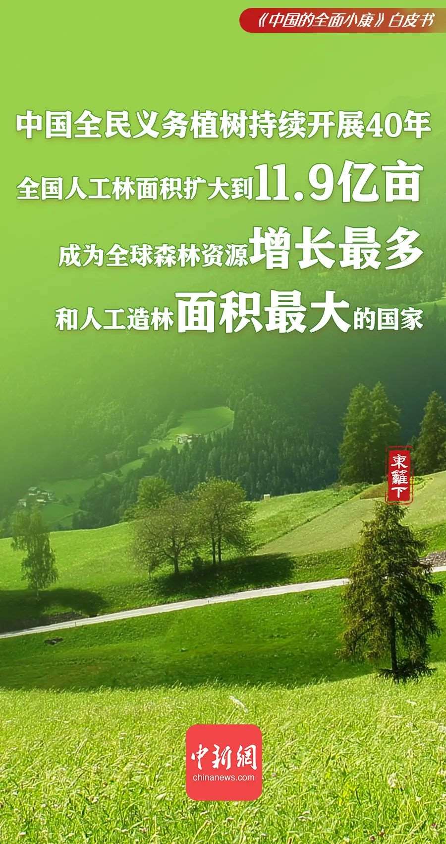 點擊進(jìn)入下一頁