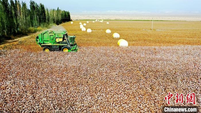 近年來，當(dāng)?shù)孛藁ǚN植戶的生產(chǎn)生活發(fā)生了翻天覆地的變化?！《?攝