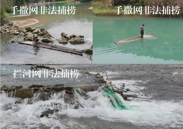 2021年9—10月，前期暗查發(fā)現(xiàn)，保護(hù)區(qū)核心區(qū)內(nèi)非法捕撈行為十分猖獗