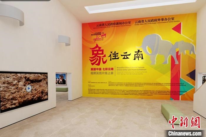圖為“象”往云南——美麗中國(guó) 七彩云南視頻及圖片線上展截圖?！『h(yuǎn)航 攝