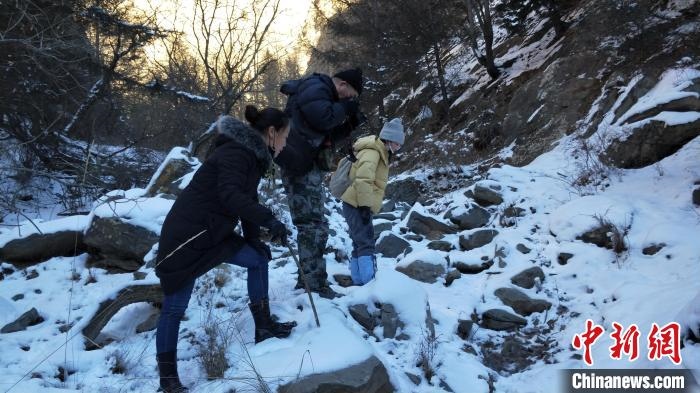 圖為工作人員發(fā)現(xiàn)疑似放歸雪豹的痕跡(資料圖)?！让晒刨R蘭山國家級自然保護區(qū)供圖
