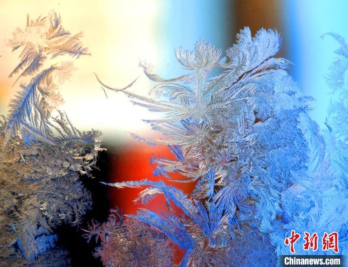 冰窗花千姿百態(tài)?！O書程 攝