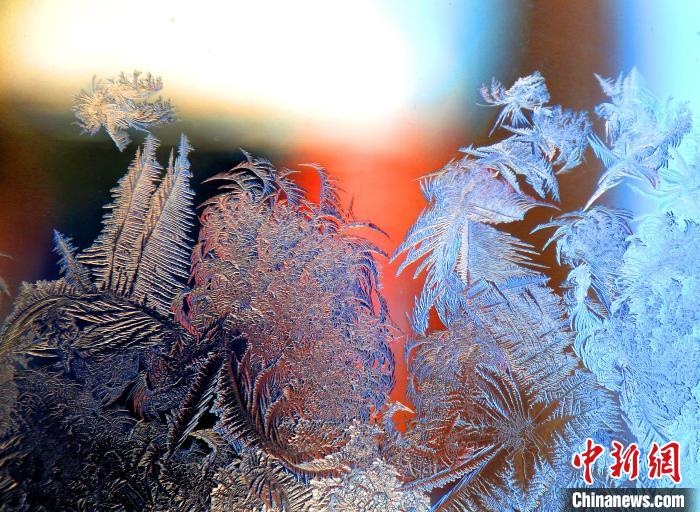 惟妙惟肖的冰窗花，似一幅風(fēng)景畫?！O書程 攝