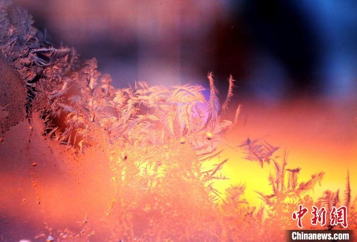 迎著光亮，冰窗花絢麗多姿。　孫書程 攝