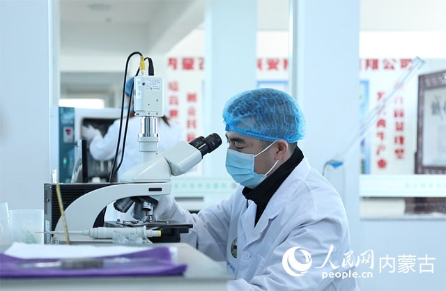 內(nèi)蒙古中農(nóng)興安種?？萍加邢薰韭鋺艨朴抑衅欤瑸槿馀．a(chǎn)業(yè)發(fā)展提供了優(yōu)質(zhì)的種源保障。白俊華攝