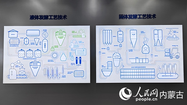 科拓生物工藝技術(shù)展示。人民網(wǎng)記者 張雪冬攝