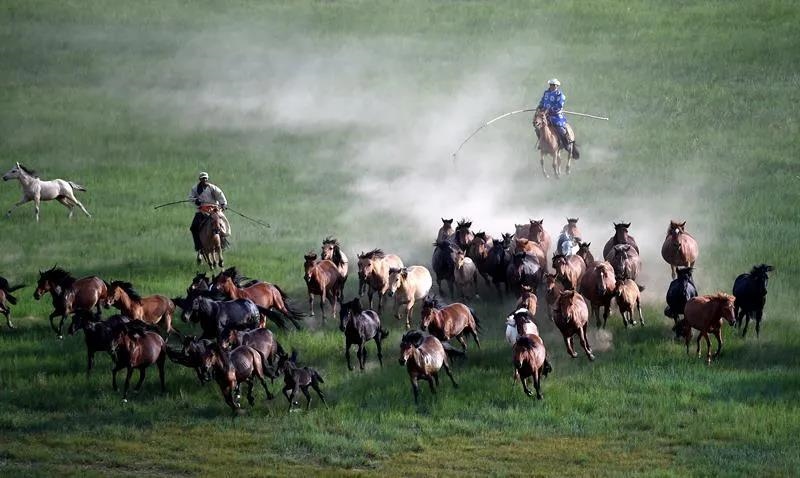 1611568177494610.jpg 555.jpg