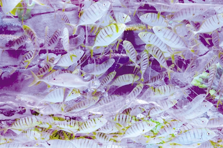 1639540691763986.jpg 1927427_cjp_1639468910407_s.jpg