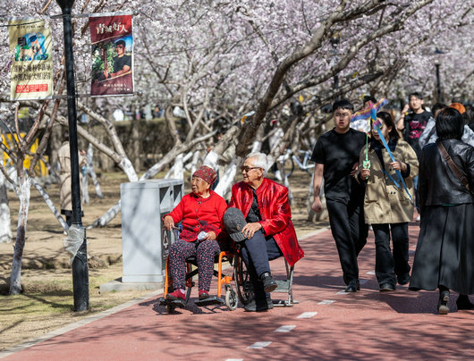 桃花6.jpg