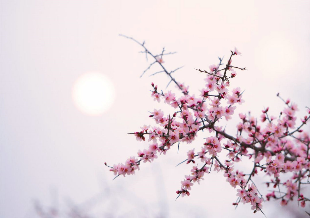 土默川4.jpg