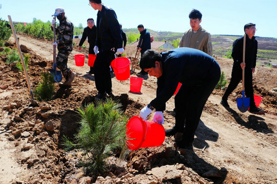 術(shù)3.jpg