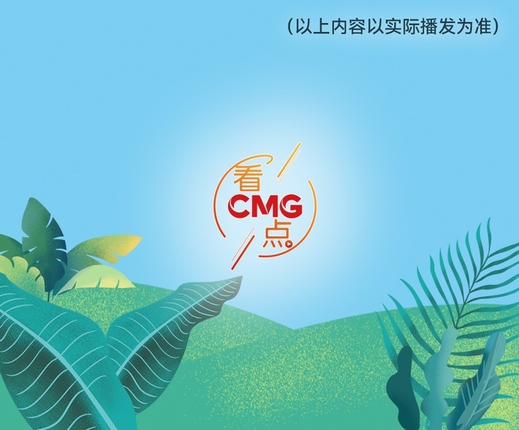 總臺周看點，來了！