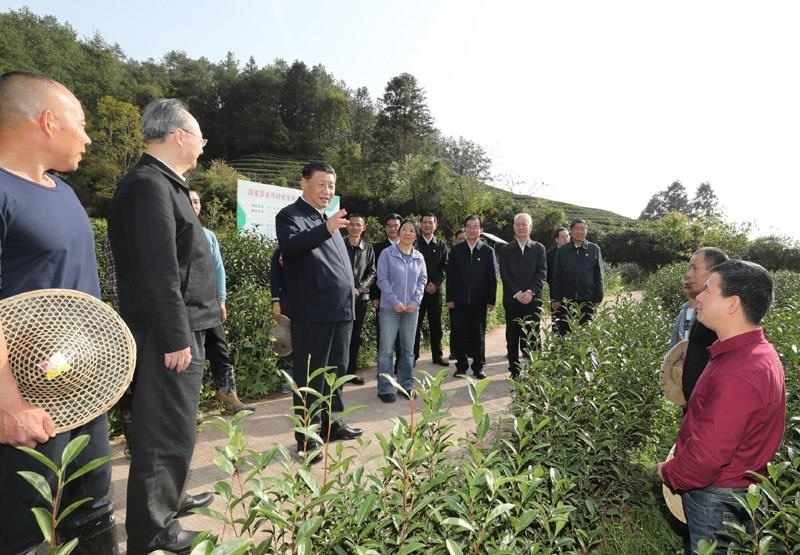 2021年3月22日，習近平總書記在福建南平武夷山市星村鎮(zhèn)燕子窠生態(tài)茶園，同科技特派員、茶農親切交流，了解當?shù)夭璁a業(yè)發(fā)展情況。