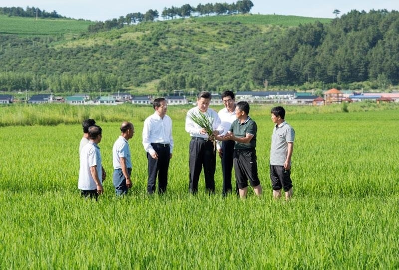 2015年7月16日，習近平總書記在吉林延邊州光東村稻田同村民和農技人員交流。