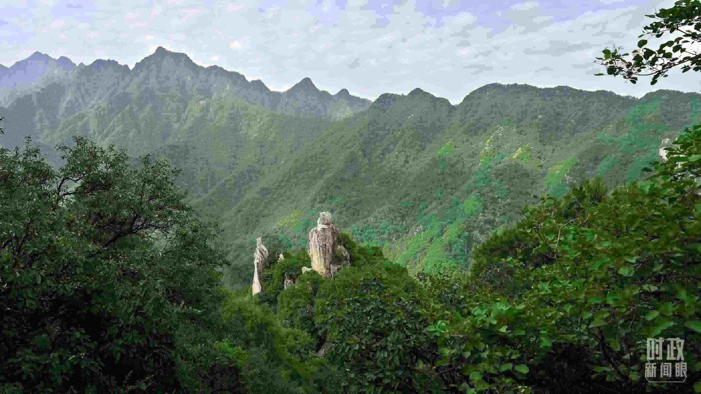 △秦嶺。（圖／視覺中國）