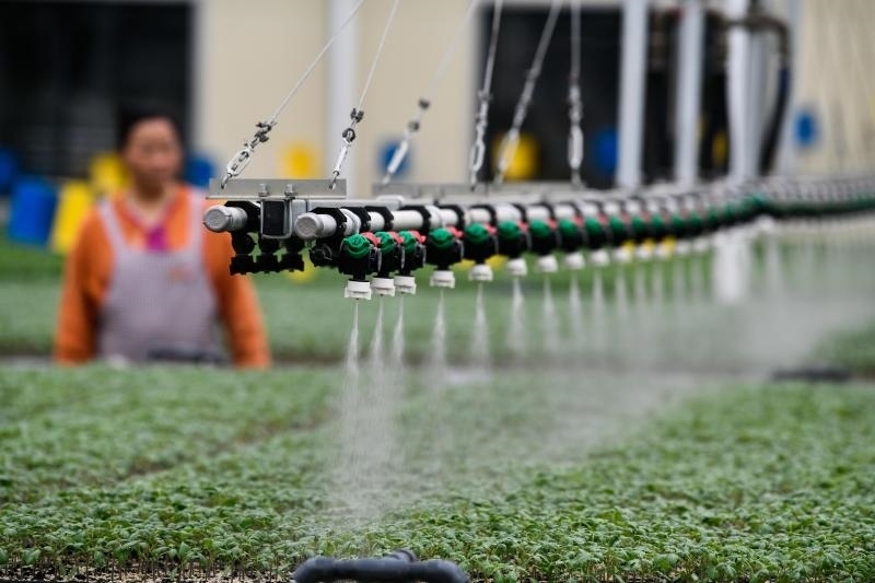 工人在貴陽(yáng)市開(kāi)陽(yáng)縣楠木渡蔬菜良種繁育中心查看自動(dòng)噴灌系統(tǒng)給辣椒苗澆水情況（2023年5月24日攝）。新華社記者 楊文斌 攝