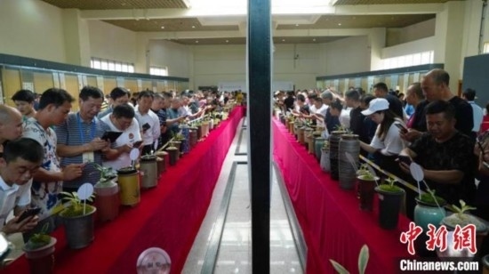 圖為活動現(xiàn)場。 云南省委臺辦供圖