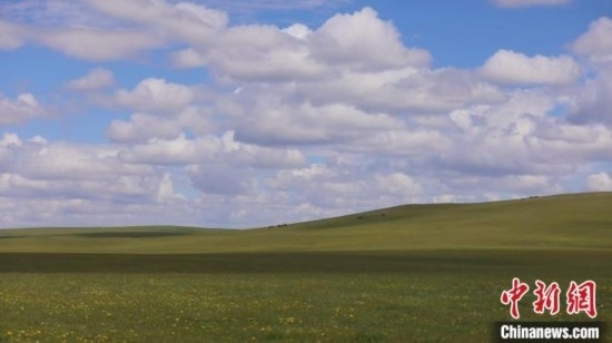 圖為點(diǎn)點(diǎn)新綠在原野上蓄勢待發(fā)。 歐戈 攝