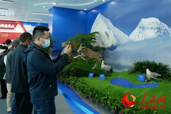 6月17日，觀眾正在觀展。人民網(wǎng) 韋衍行攝