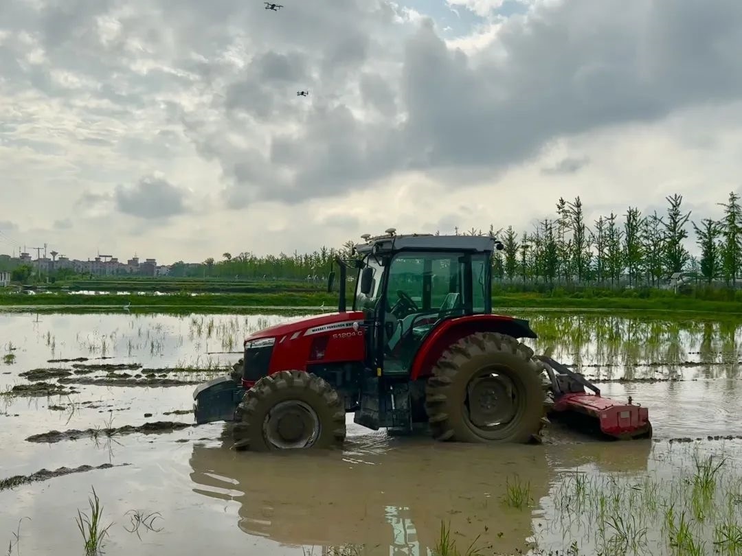 浙江省金華市東陽市城東街道寀盧村的一臺無人駕駛耕地機。靜玄 攝