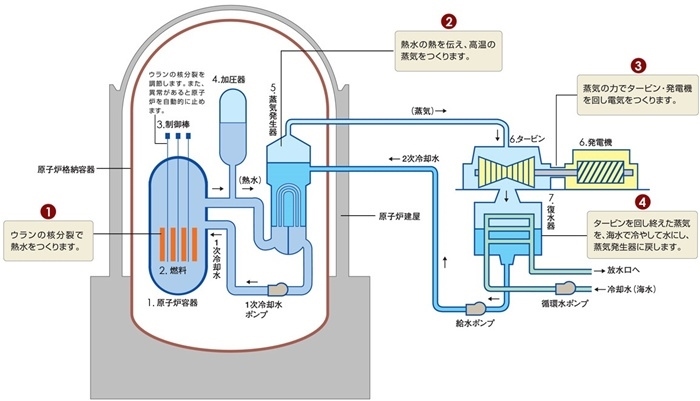 核電站運(yùn)作原理圖。通常的核電站排水未直接接觸核燃料。（圖片來源：日本北海道電力株式會社網(wǎng)站）