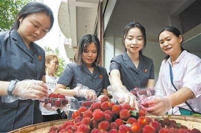 志愿者和村民一起將摘下的楊梅裝進(jìn)食品盒里。