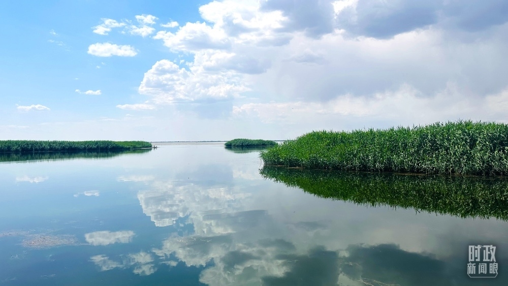 內(nèi)蒙古烏梁素海，是黃河流域最大的湖泊濕地。（總臺(tái)央視記者范一鳴拍攝）