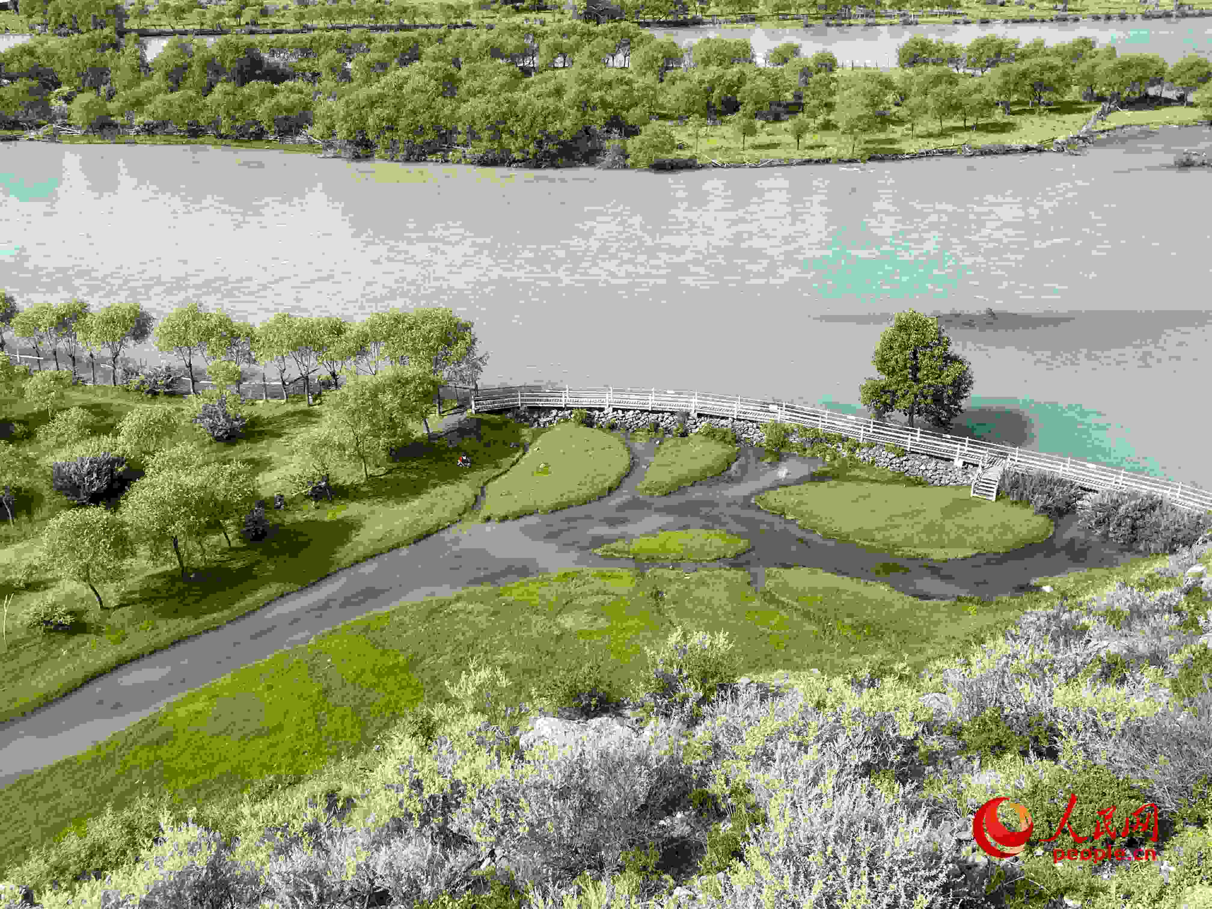 夏日的雅尼國家濕地公園生機(jī)盎然，如詩如畫。人民網(wǎng) 周靜圓攝