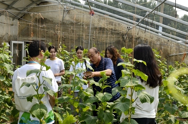 大學生走進北京平谷開展暑期鄉(xiāng)村實踐
