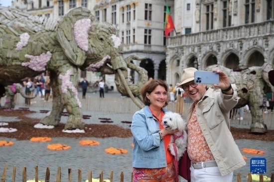 8月11日，觀眾在比利時(shí)布魯塞爾“鮮花時(shí)光”展覽上拍照。新華社記者 趙丁喆攝