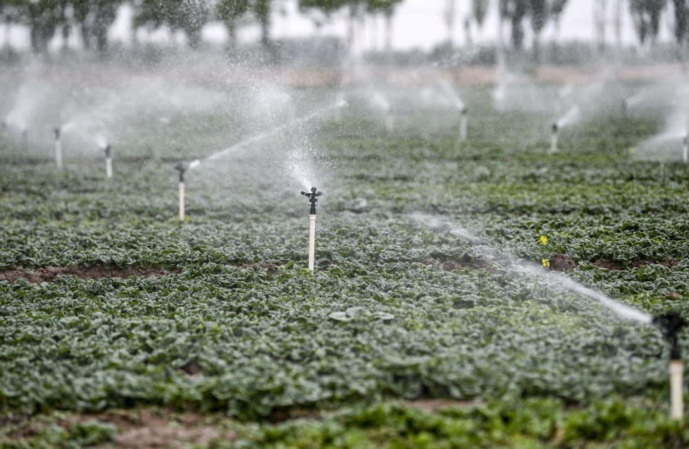 2023年5月25日，在寧夏銀川市永寧縣望洪鎮(zhèn)宋澄村冷涼蔬菜種植基地，小型噴灌節(jié)水設(shè)備在進(jìn)行噴灌作業(yè)。新華社記者 馮開(kāi)華 攝