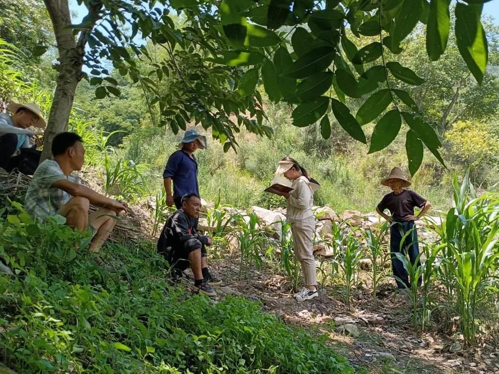 2023年7月18日，兩家村民發(fā)生土地方面的糾紛，李江女（右二）在記錄情況。受訪者供圖