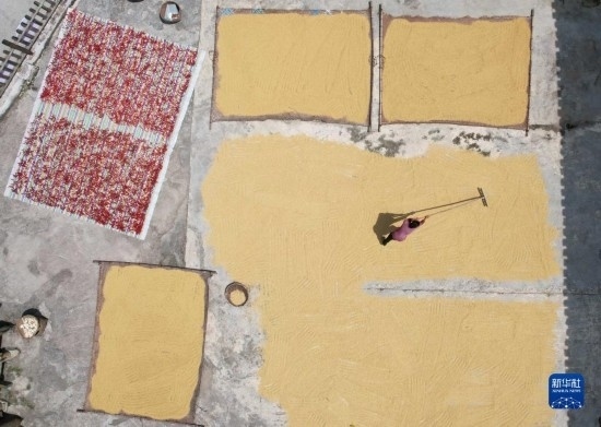 9月16日，村民在貴州省黔東南苗族侗族自治州施秉縣馬溪鄉(xiāng)王家坪村晾曬稻谷（無(wú)人機(jī)照片）。