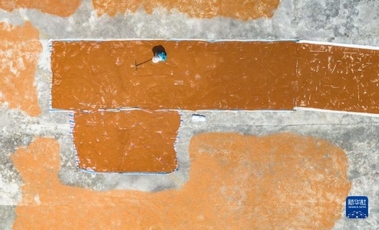 9月16日，農(nóng)民在貴州省安順市西秀區(qū)大西橋鎮(zhèn)吉昌村晾曬高粱（無(wú)人機(jī)照片）。