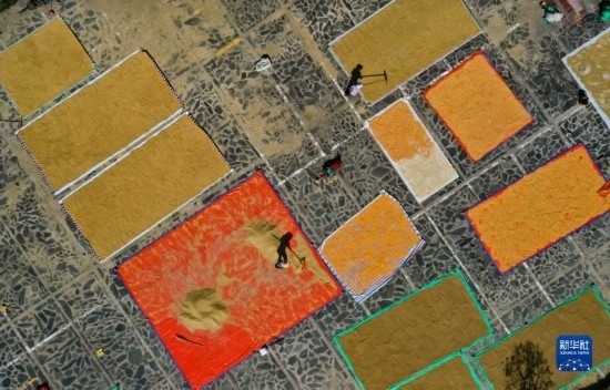 9月16日，貴州省黔東南苗族侗族自治州丹寨縣南皋鄉(xiāng)石橋村村民在晾曬農(nóng)作物（無(wú)人機(jī)照片）。
