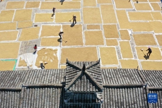 9月16日，村民在貴州省黔東南苗族侗族自治州從江縣剛邊壯族鄉(xiāng)三聯(lián)村晾曬稻谷（無(wú)人機(jī)照片）。