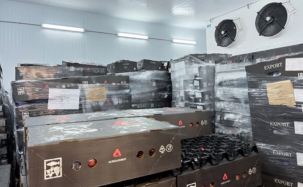 恒溫冷庫(kù)中，包裝好的牛肉等待發(fā)往中國(guó)。人民網(wǎng)記者 朱虹攝