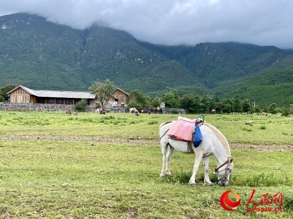 玉湖村附近草甸。人民網(wǎng) 周靜圓攝