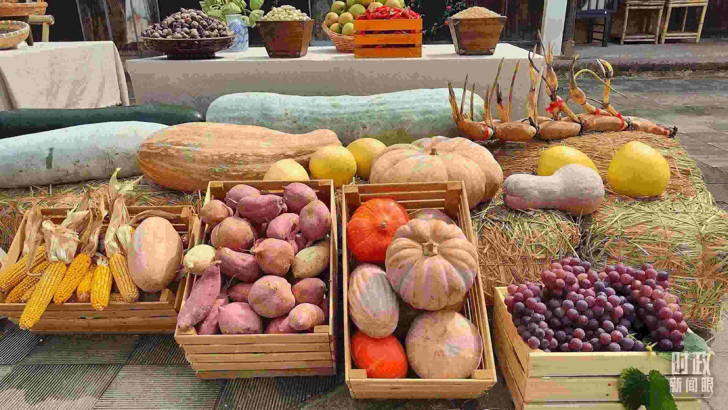 △村廣場(chǎng)“共富市集”，擺放著種類豐富的特色農(nóng)產(chǎn)品。（總臺(tái)央視記者楊立峰拍攝）