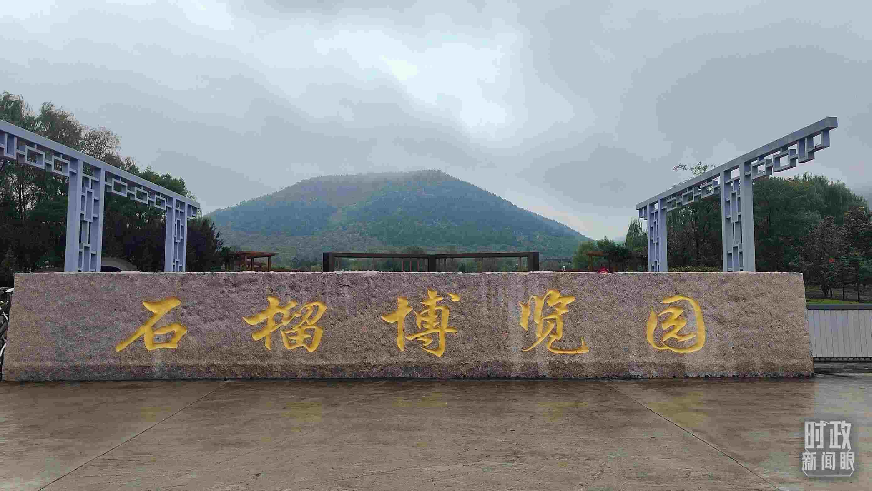 △石榴種質(zhì)資源庫(kù)位于石榴博覽園內(nèi)。（總臺(tái)央視記者楊立峰拍攝）