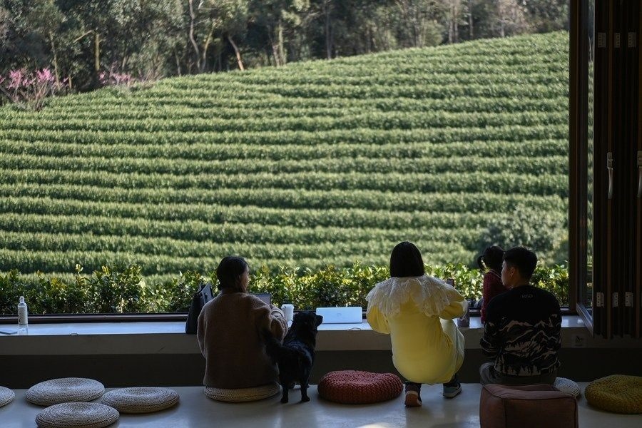 游客在浙江省安吉縣黃杜村萬畝茶園邊的咖啡館休閑（2023年2月21日攝）。