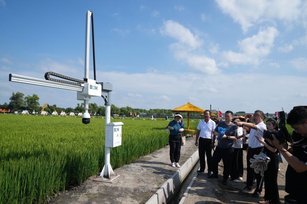 在北大荒集團閆家崗農(nóng)場有限公司農(nóng)業(yè)現(xiàn)代化示范區(qū)，工作人員在介紹利用數(shù)字技術(shù)的葉齡診斷儀（2023年8月10日攝）。新華社記者 王建威 攝