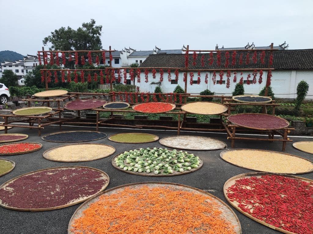 近日，江西省上饒市婺源縣秋口鎮(zhèn)王村村民晾曬的農(nóng)作物。新華社記者 劉佳敏 攝