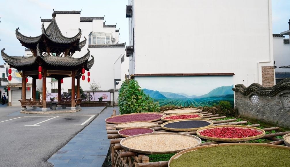 近日拍攝的江西省上饒市婺源縣秋口鎮(zhèn)王村石門自然村曬秋場(chǎng)景。新華社記者 胡晨歡 攝