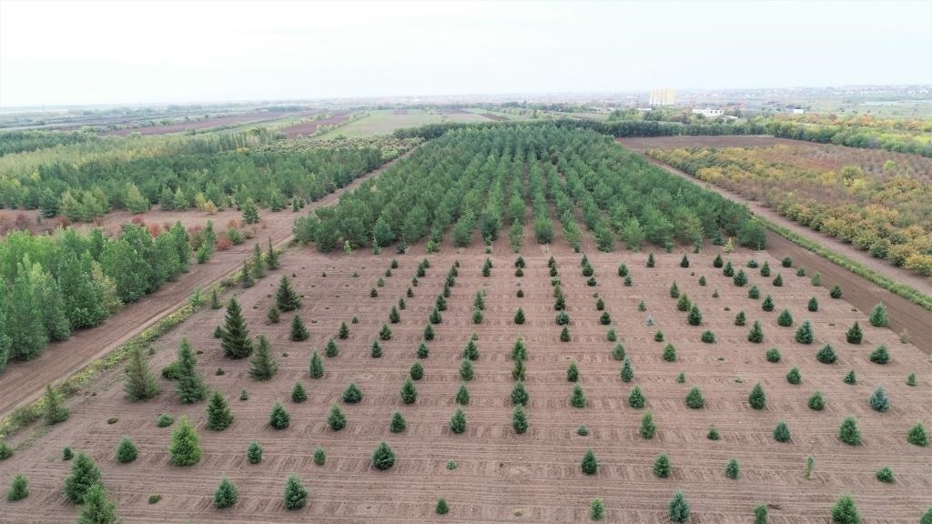 這是2023年9月11日在哈薩克斯坦首都阿斯塔納拍攝的一處植物種質(zhì)資源苗圃（無(wú)人機(jī)照片）。新華社發(fā)（法爾哈特·圖克諾夫 攝）