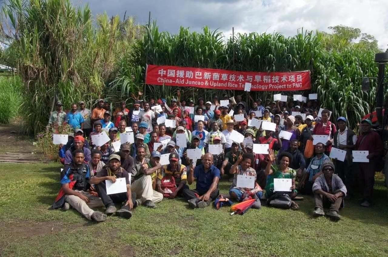 △2020年12月17日，在巴布亞新幾內亞東高地省，參加中國援助巴新菌草和旱稻技術項目第9期培訓班的當地民眾展示結業(yè)證書。