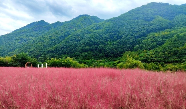 寶成線鳳縣境內(nèi)的路邊。