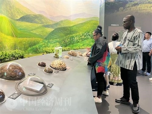  （在中國藥都中醫(yī)藥博物館，外媒記者了解中醫(yī)藥發(fā)展史。中國經(jīng)濟(jì)周刊記者 郭志強(qiáng) 攝）