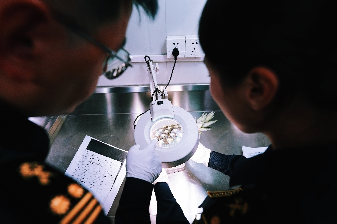 上海海關(guān)關(guān)員針對檢疫性有害生物和農(nóng)藥殘留進(jìn)行檢疫檢驗(yàn)。陳興洲攝