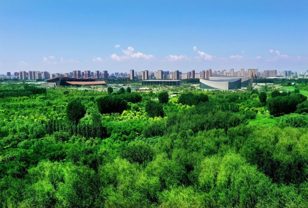 北京東方化工廠舊址建成的綠心公園草木蔥蘢。（馬文曉 攝）